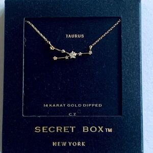Taurus-Secret Box celestial necklaces.